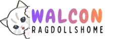 Walcon Ragdoll Homes